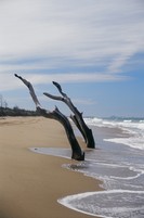 Moore Park Beach
